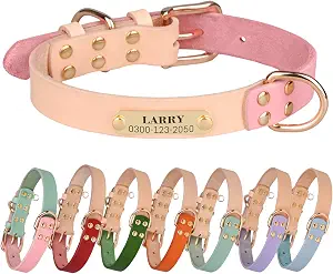 Personalized Dog Collar with Nameplate – Genuine Leather, Engraved Pet ID Tag with Phone Number (Pink, Small)